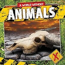 KS1 All About Animals