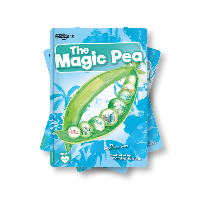 Magic Pea x 6 Copies (Turquoise)