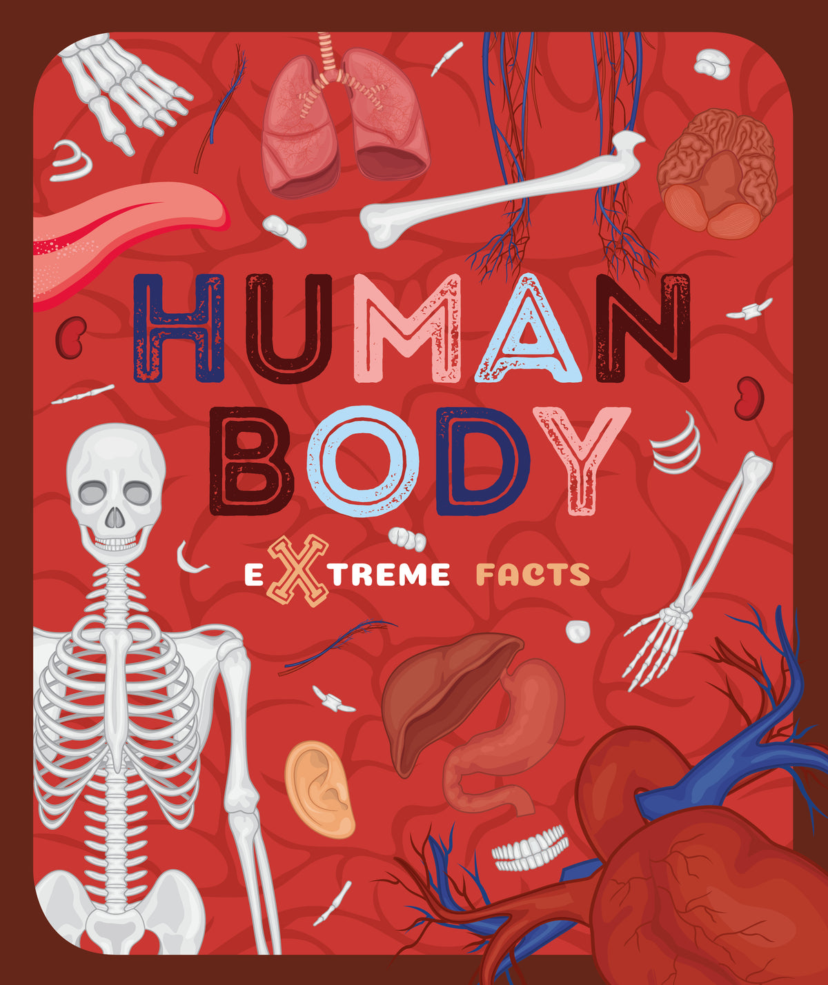 The Human Body