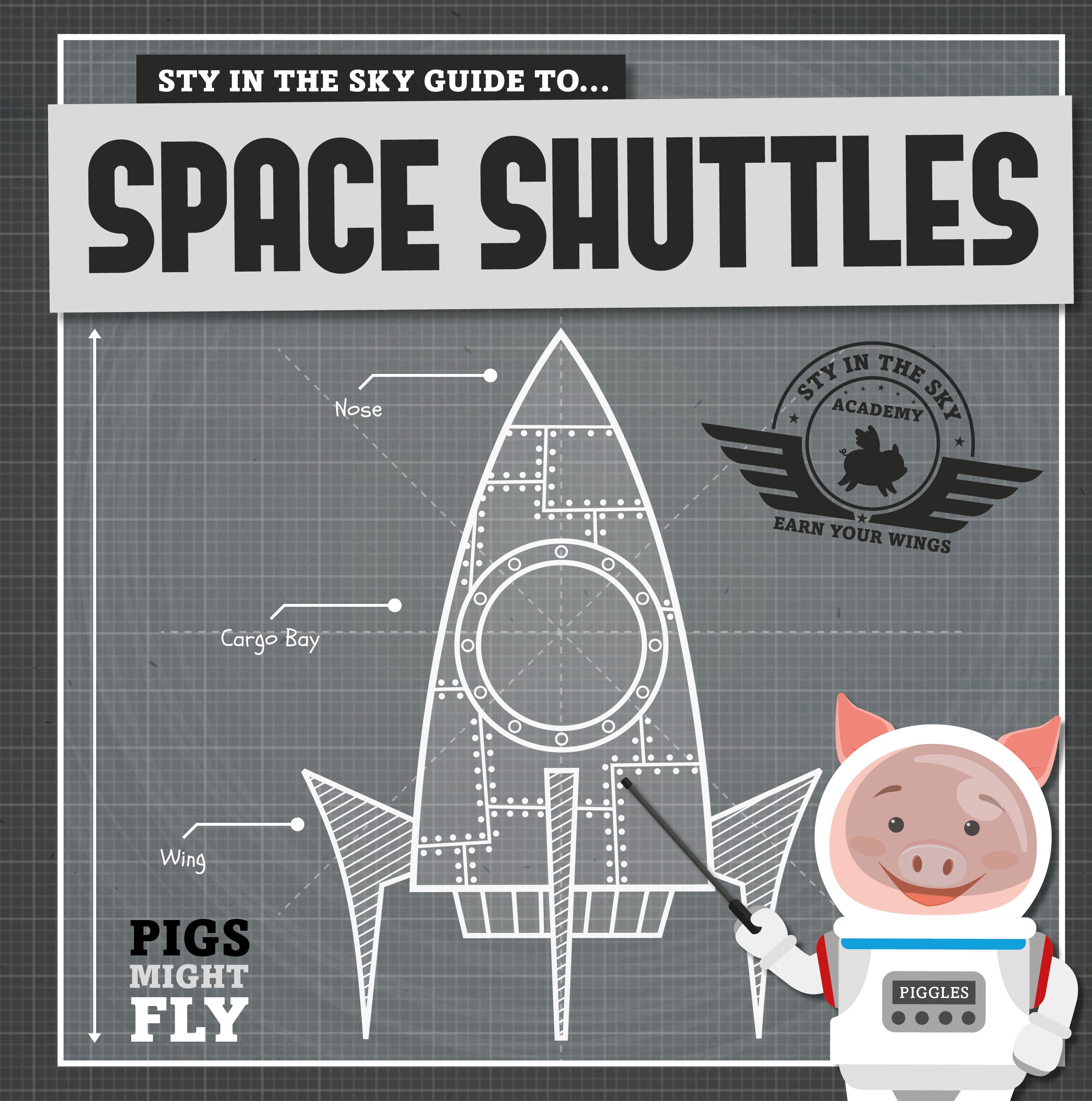 Space Shuttles book cover