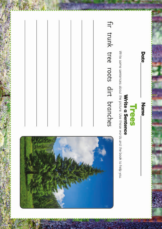 Level 5 (Green) - BookLife Non-Fiction Readers, Trees - Free Resource