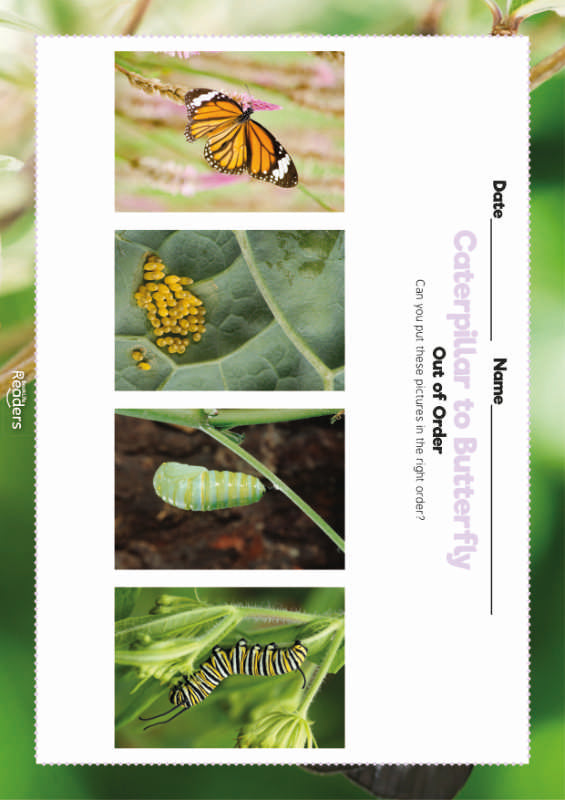 Level 0 (Lilac) - BookLife Non-Fiction Readers, Caterpillar to Butterfly - Free Resource