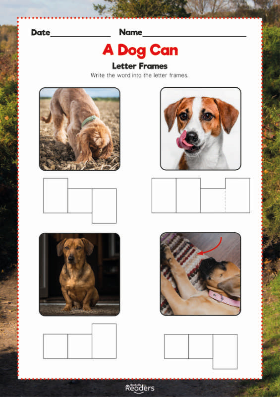 Level 2 (Red) - BookLife Non-Fiction Readers, A Dog Can - Free Resource