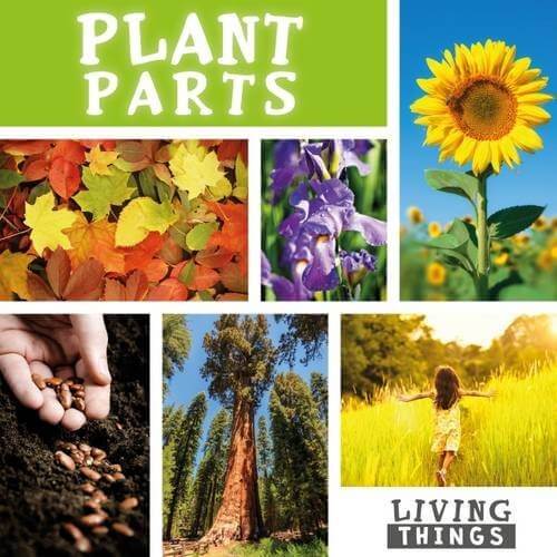 How Plants Grow <br> KS1 <br>(10 Books) by BookLife