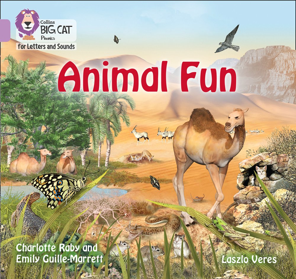 Big Cat Phonics for Letters and Sounds: Lilac