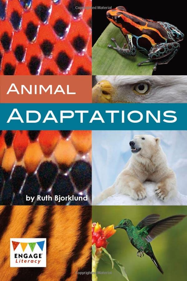 KS2 Evolution & Adaptation 10 Books (KS2)
