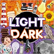 Level 4: Blue Non-Fiction Book Bands