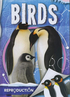 Level 5: Green Non-Fiction Book Bands