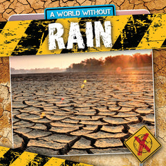 Rain book cover