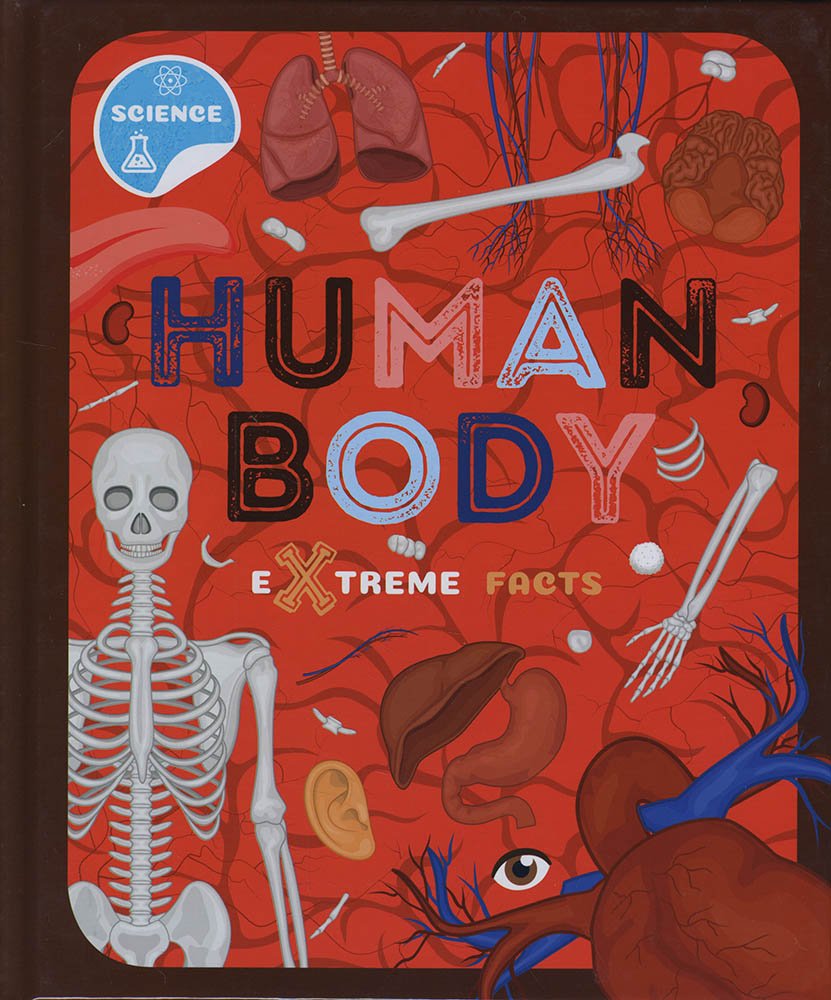 KS2 The Human Body
