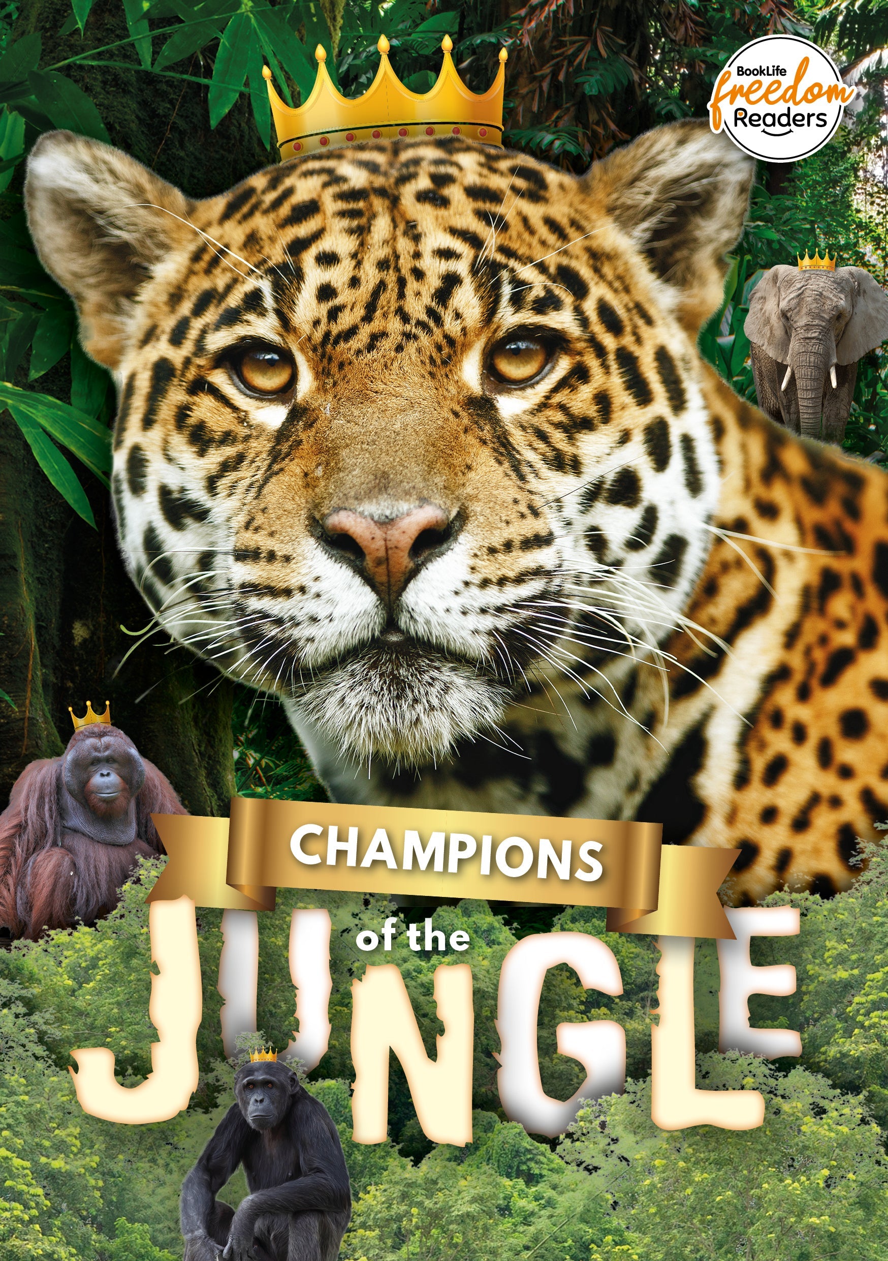 Champions of the Jungle