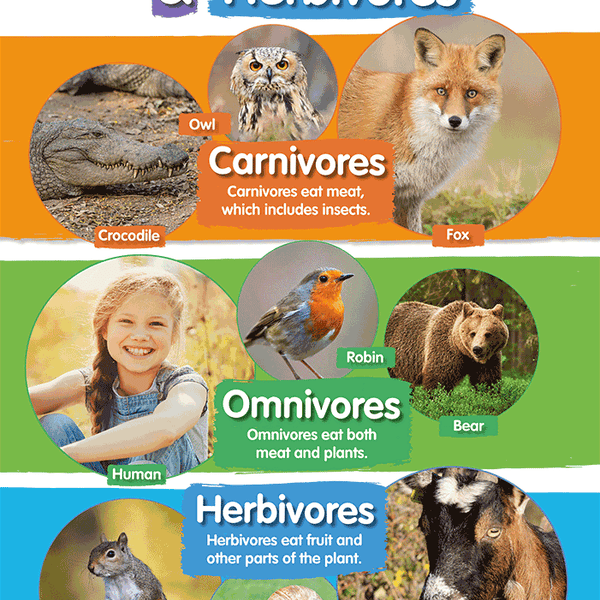 examples of herbivores