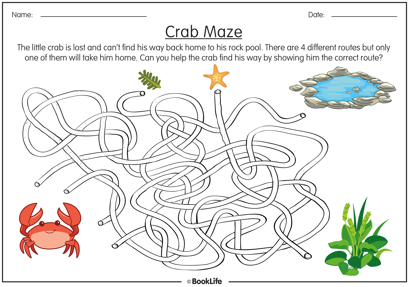 Habitats: Crab Maze by BookLife