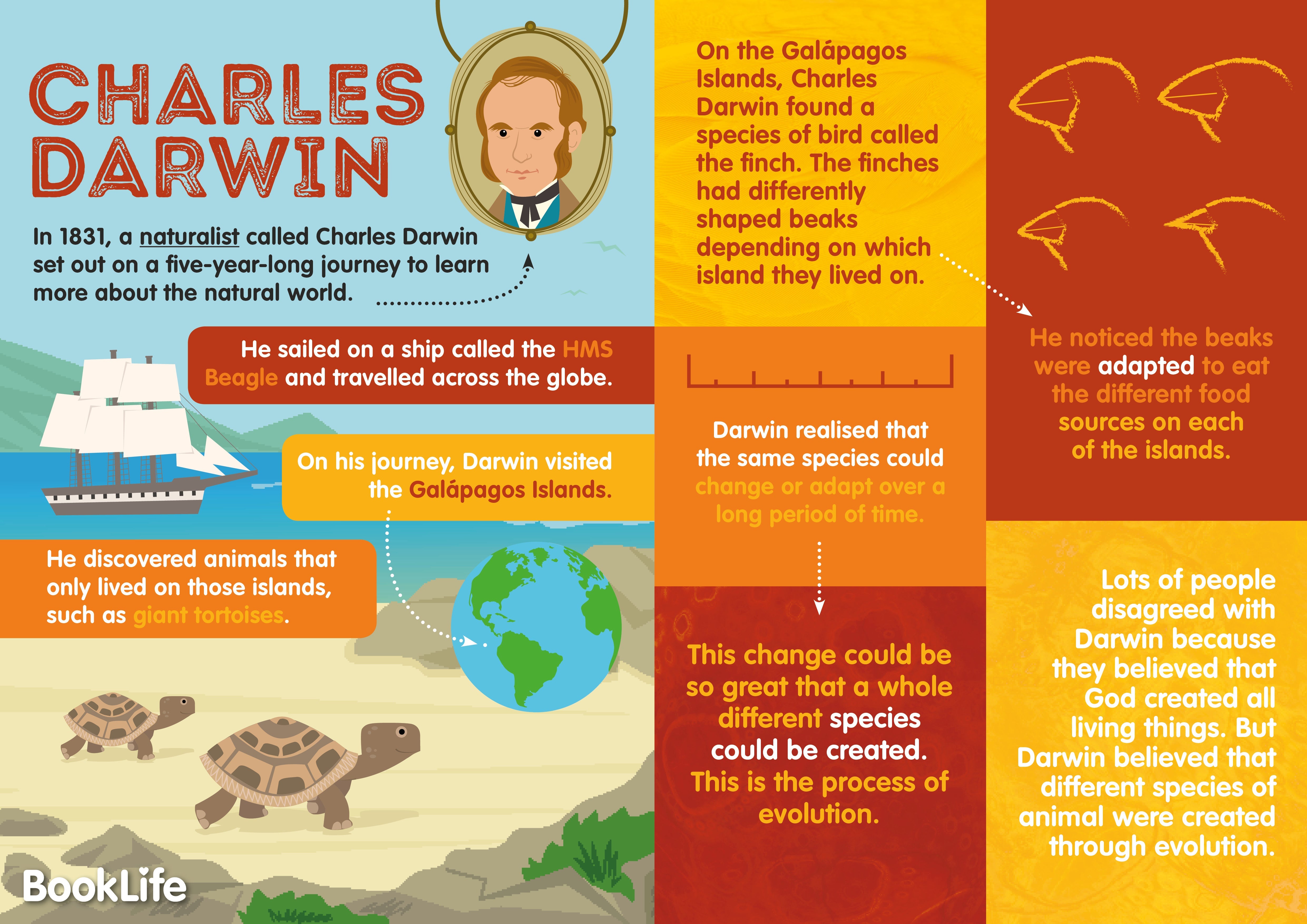 Free Charles Darwin Poster by BookLife