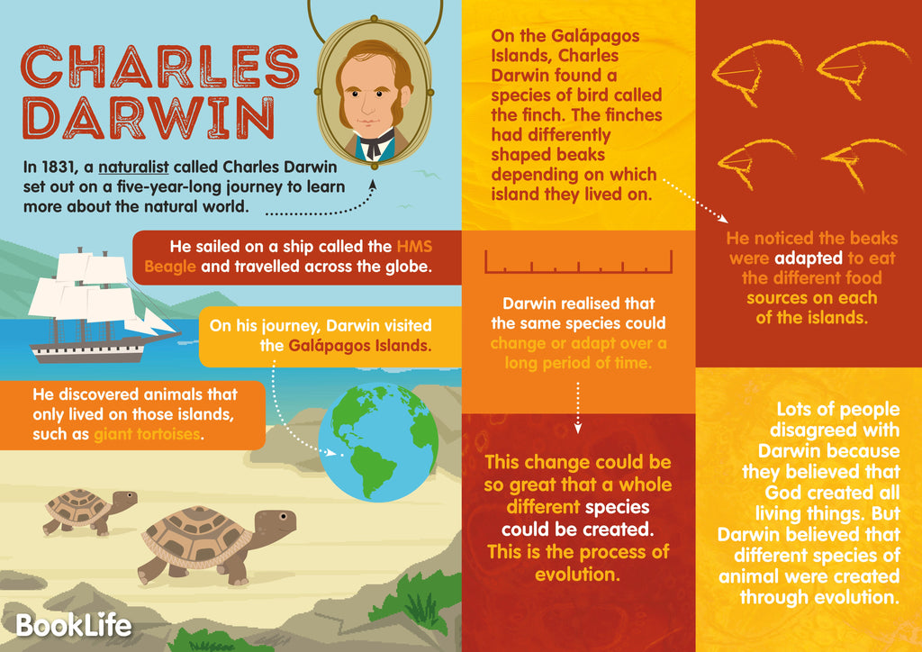Darwin Poster Free Charles Darwin Poster | BookLife