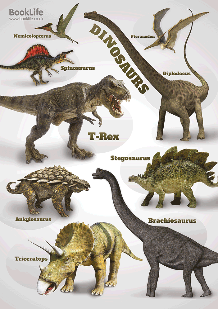 Dinosaur Poster 2 by BookLife