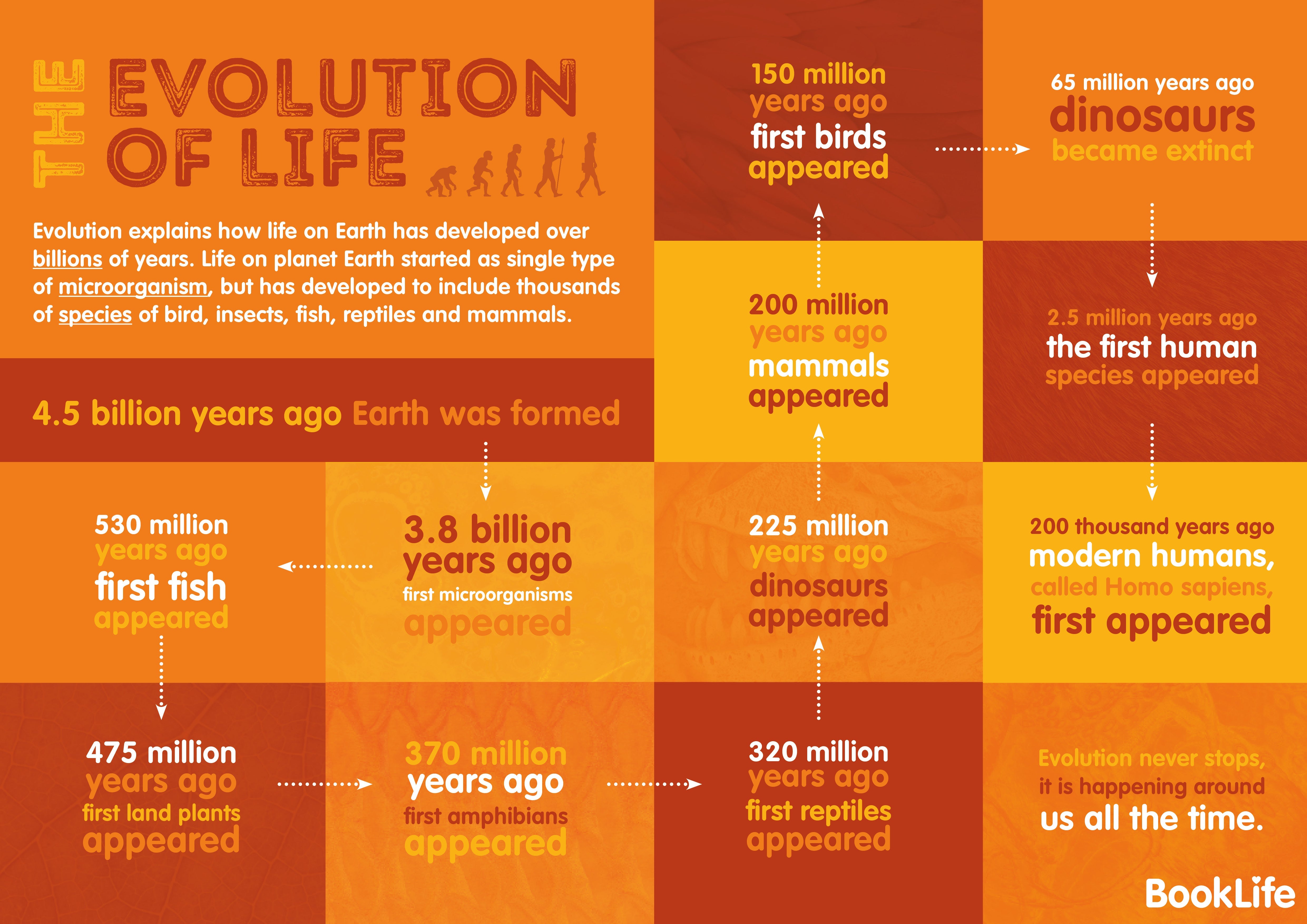Free Evolution Poster | BookLife
