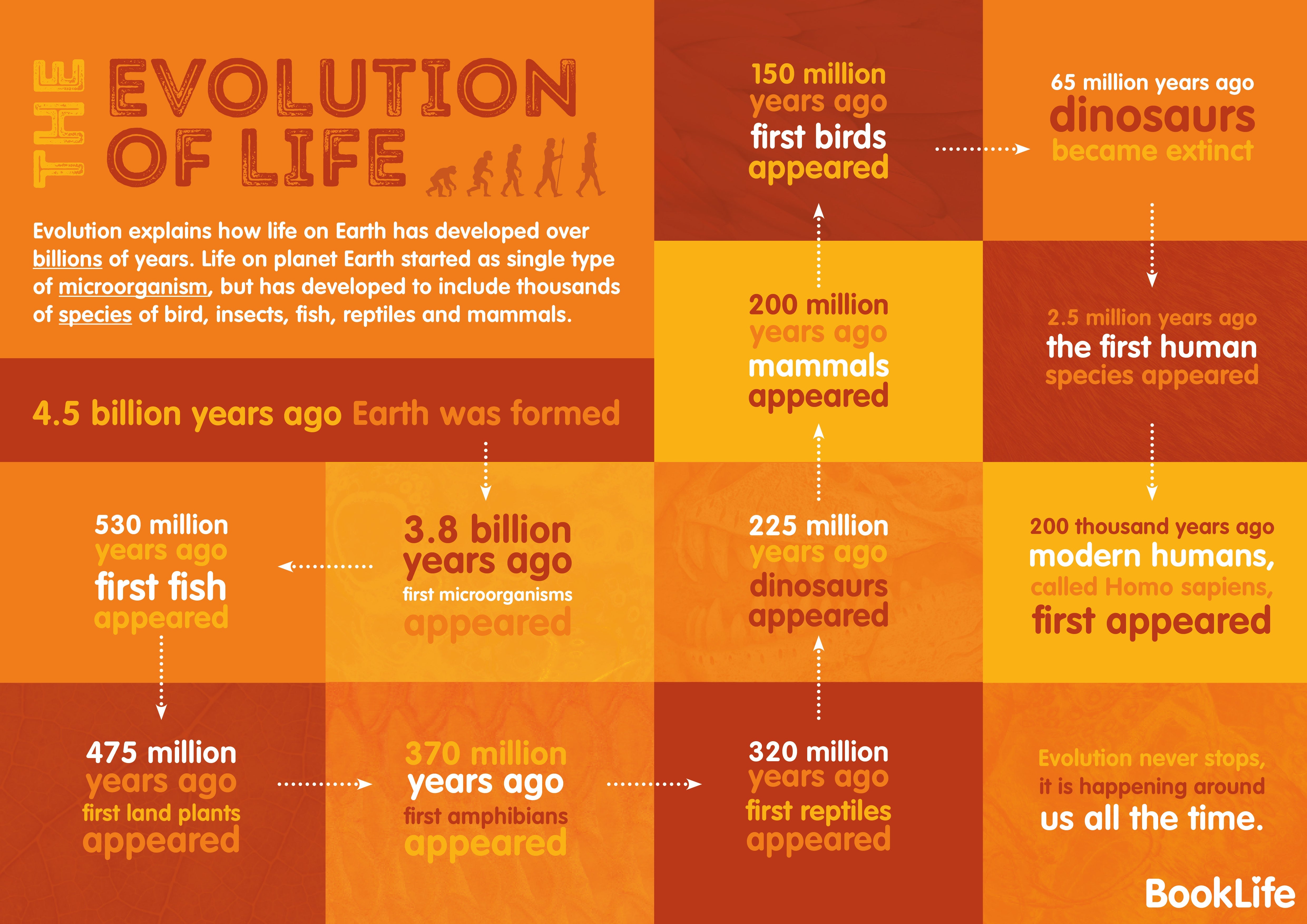 Free Evolution Poster by BookLife