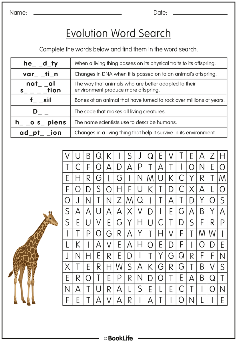 evolution word search answers