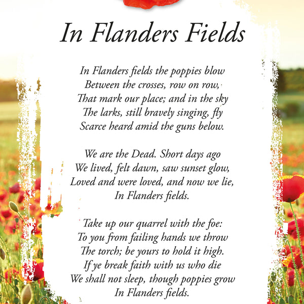 In Flanders Fields Poem Poster