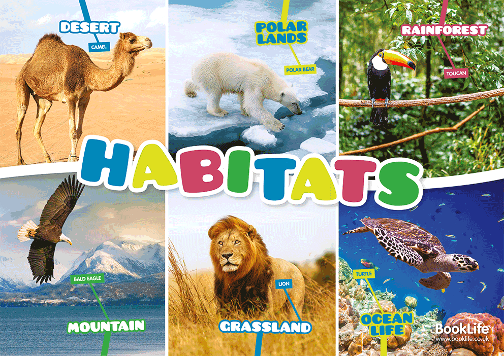 Habitats Poster by BookLife