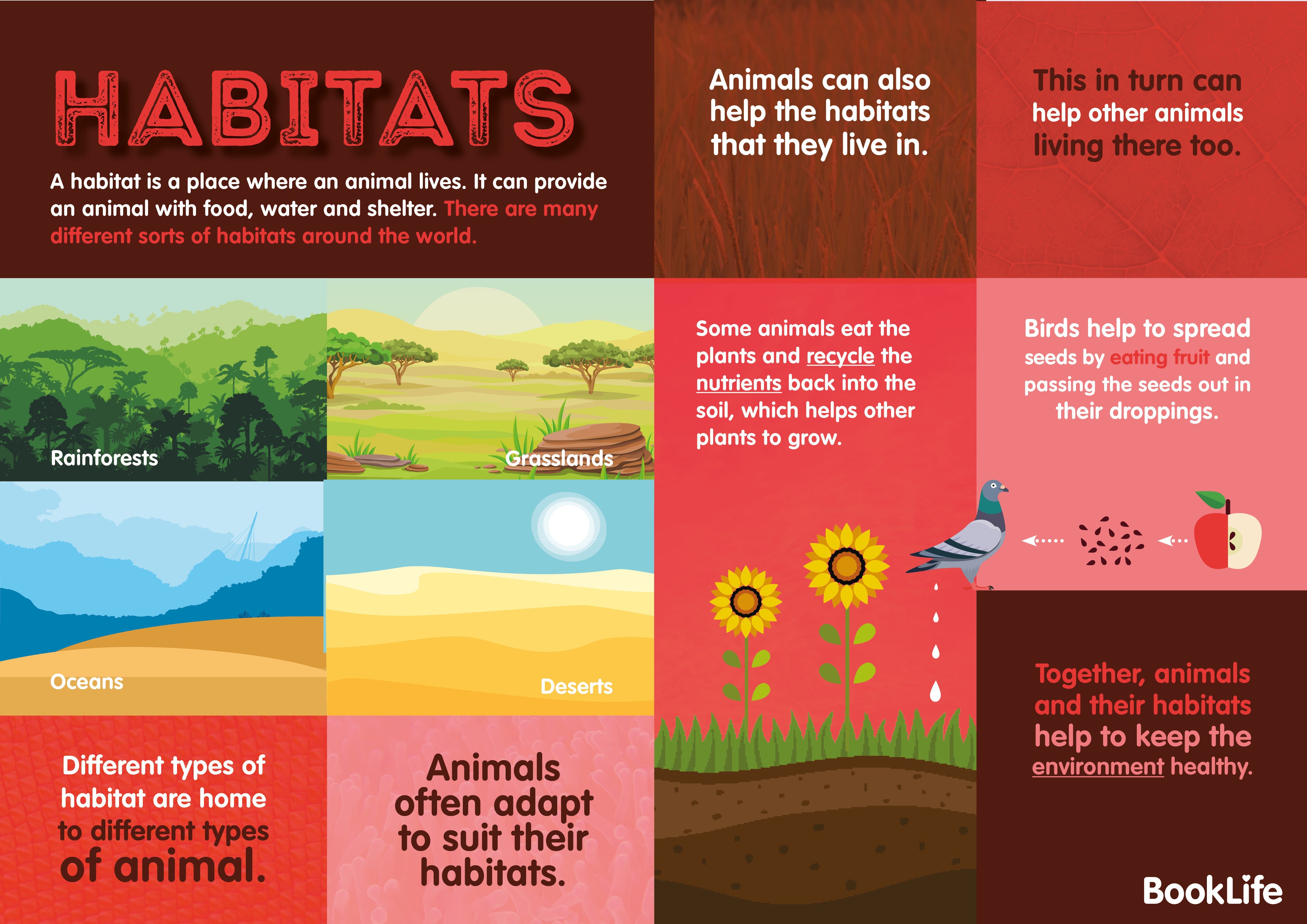Free Habitats Poster by BookLife