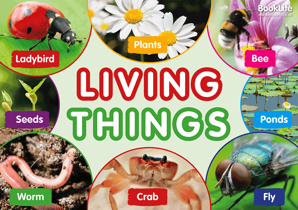 Living Things Poster by BookLife