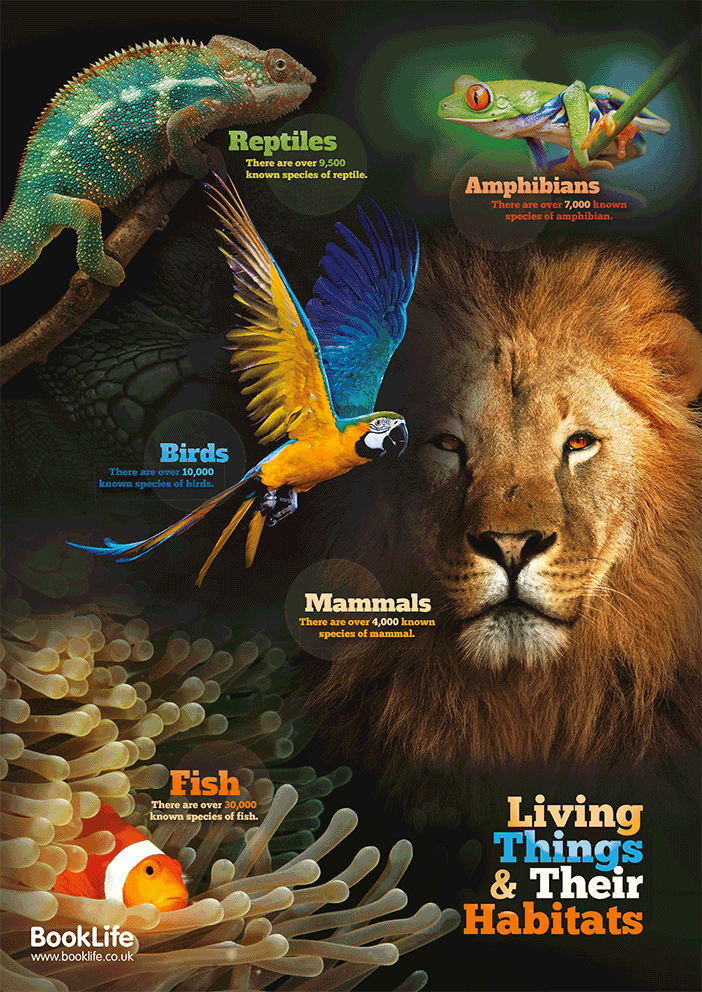 Living Things and Their Habitats Poster by BookLife