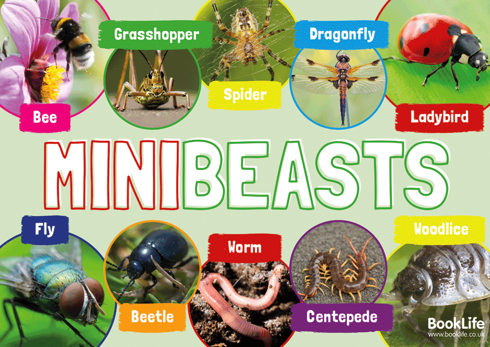 Minibeasts Poster by BookLife