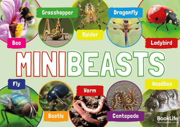 Minibeasts Poster | BookLife