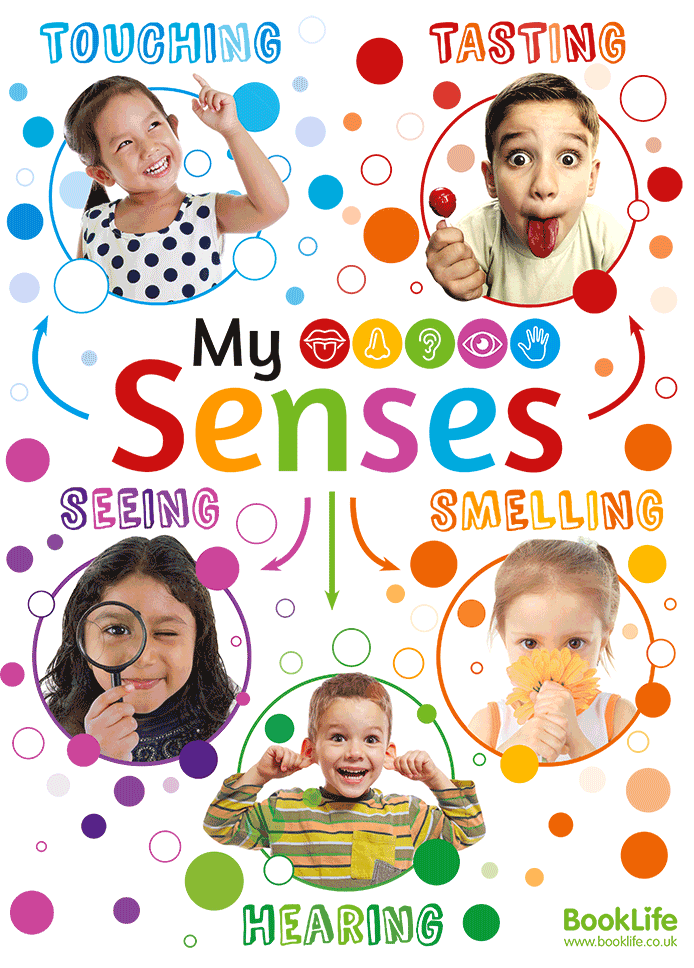 My Senses Poster by BookLife
